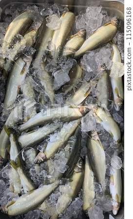 超市場景，魚店冰盤上冰醃製的香魚 115096168