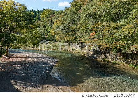 Clear stream scenery 115096347