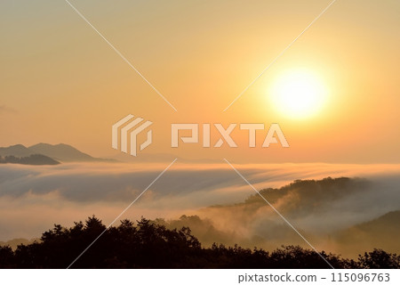 從田野原展望台看到的兩國雲海 從田野原展望台看到的兩國雲海 115096763