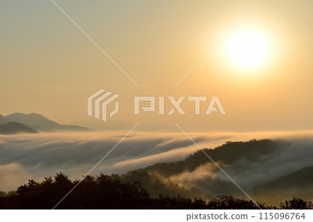 從田野原展望台看到的兩國雲海 115096764