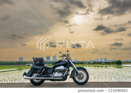 "Saitama Prefecture" Minuma rice fields and American bikes Saitama City 115096901