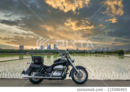 「埼玉縣」三沼稻田與美國自行車 埼玉市 「埼玉縣」三沼稻田與美國自行車 埼玉市 115096903