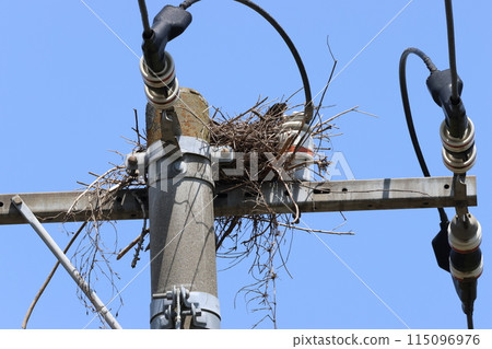 建在電話桿頂上的瞭望台 建在電話桿頂上的瞭望台 115096976