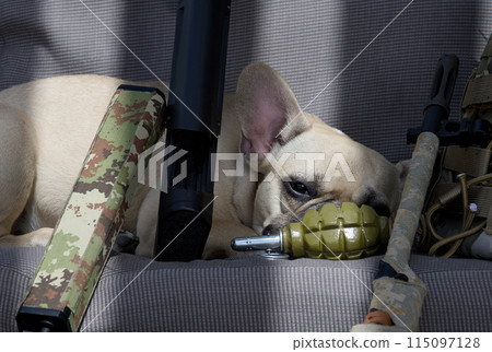A dog lies in a chair next to various automatic airsoft weapons hiding behind a grenade and looks sadly at the camera. 115097128