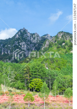 Spring view of Mt. Mizugaki from Mizugakiyama Natural Park in Yamanashi Prefecture 115097147