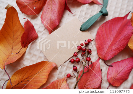 帶有彩色落葉和紅色漿果的空白卡 115097775