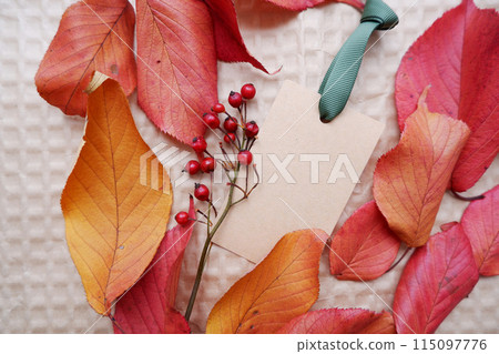 帶有彩色落葉和紅色漿果的空白卡 帶有彩色落葉和紅色漿果的空白卡 115097776