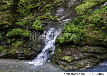 The emerald green waters of the Sukkansawa Falls, flowing from the fresh greenery of the river 115098087