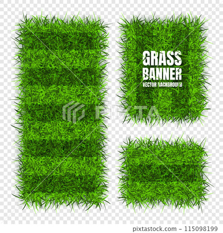Green grass banners, background. Field, meadow texture, grassy landscape. Football playing pitch, soccer field. Sports ground, stadium. Ecology and environment protection. Vector illustration Green grass banners, background. Field, meadow texture, grassy landscape. Football playing pitch, soccer field. Sports ground, stadium. Ecology and environment protection. Vector illustration 115098199