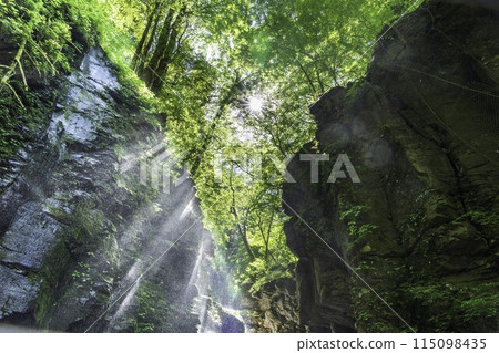 陽光透過鮮綠的水坎沼澤照射出來的夕夜瀑布 陽光透過鮮綠的水坎沼澤照射出來的夕夜瀑布 115098435