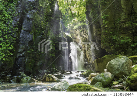 A ray of light shines through the fresh greenery of the Sukkansawa River at Yuhi Falls. A ray of light shines through the fresh greenery of the Sukkansawa River at Yuhi Falls. 115098444