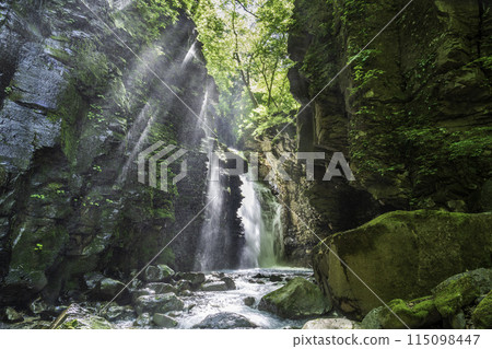 陽光透過鮮綠的水坎沼澤照射出來的夕夜瀑布 115098447
