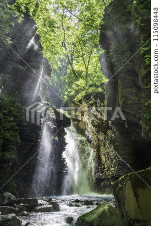 陽光透過鮮綠的水坎沼澤照射出來的夕夜瀑布 陽光透過鮮綠的水坎沼澤照射出來的夕夜瀑布 115098448