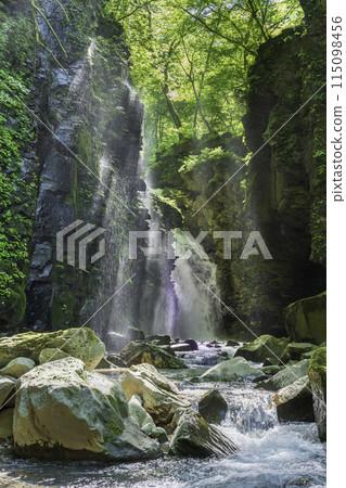 陽光透過鮮綠的水坎沼澤照射出來的夕夜瀑布 陽光透過鮮綠的水坎沼澤照射出來的夕夜瀑布 115098456