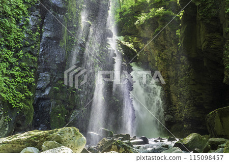 陽光透過鮮綠的水坎沼澤照射出來的夕夜瀑布 陽光透過鮮綠的水坎沼澤照射出來的夕夜瀑布 115098457