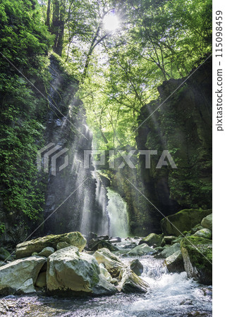 A ray of light shines through the fresh greenery of the Sukkansawa River at Yuhi Falls. 115098459