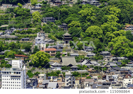 廣島縣尾道市向島天寧寺的尾道城市景觀 115098864
