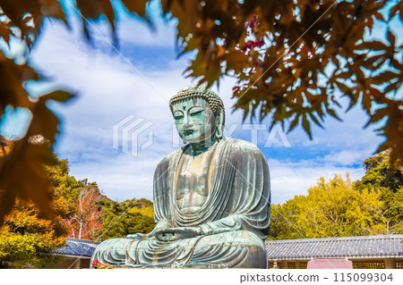 Daibutsu or Great Buddha of Kamakura in Kotokuin Temple at Kanagawa Prefecture Japan with leaves changing color It is an important landmark and a popular destination for tourists and pilgrims. 115099304