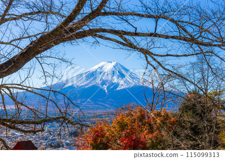 Mount Fuji with trees in the foreground in autumn in Kawaguchiko, Yamanashi, Japan. 115099313