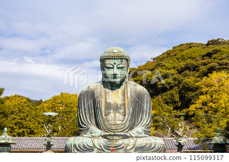 Daibutsu or Great Buddha of Kamakura in Kotokuin Temple at Kanagawa Prefecture Japan with leaves changing color It is an important landmark and a popular destination for tourists and pilgrims. Daibutsu or Great Buddha of Kamakura in Kotokuin Temple at Kanagawa Prefecture Japan with leaves changing color It is an important landmark and a popular destination for tourists and pilgrims. 115099317
