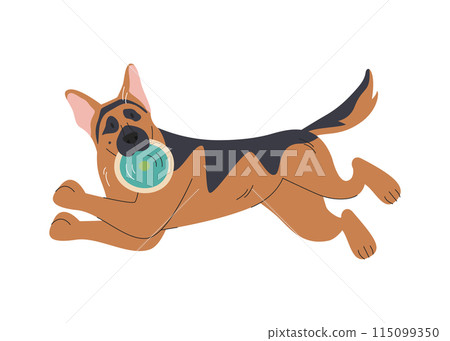 Running german shepherd dog with flat frisbee disk Running german shepherd dog with flat frisbee disk 115099350