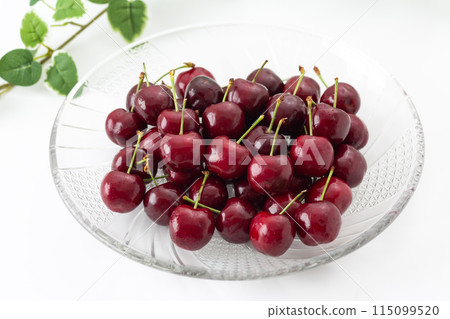 白色背景上的美國櫻桃 115099520