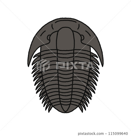 三葉蟲/三陽中 115099640