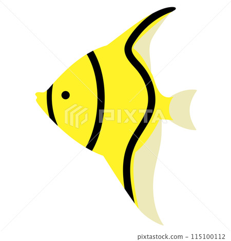 可愛的神仙魚圖 115100112