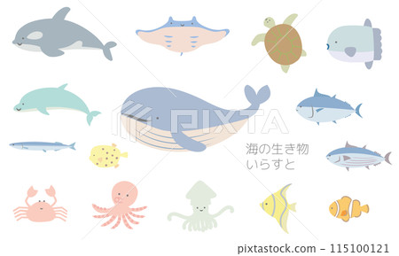 可愛的海洋生物/魚插圖集 2 種柔和的顏色 可愛的海洋生物/魚插圖集 2 種柔和的顏色 115100121