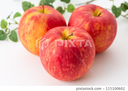 Red apple (Jonagold) 115100602