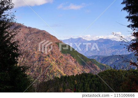 Autumn foliage on Toyooka Umegashima Line forest road in Yamanashi Prefecture Autumn foliage on Toyooka Umegashima Line forest road in Yamanashi Prefecture 115100666