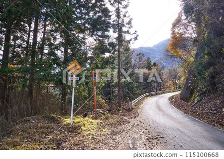 Autumn foliage on Toyooka Umegashima Line forest road in Yamanashi Prefecture 115100668