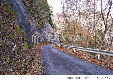 Yamanashi Prefecture Forest Road Toyooka Umegashima Line 115100669