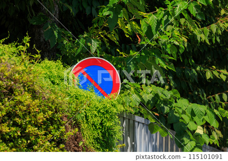灌木叢隱藏的交通標誌 115101091