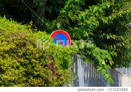 灌木叢隱藏的交通標誌 115101092