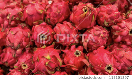 fresh produce of dragon fruits or Hylocereus undatus 0r buah naga in Indonesian at the local market, healthy fresh fruit for salad or juice or any cooking options fresh produce of dragon fruits or Hylocereus undatus 0r buah naga in Indonesian at the local market, healthy fresh fruit for salad or juice or any cooking options 115101297