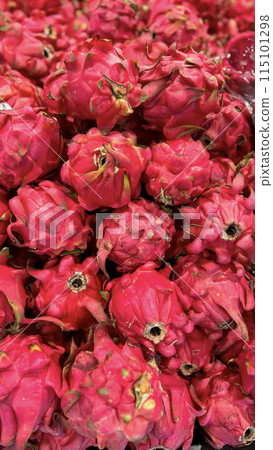 fresh produce of dragon fruits or Hylocereus undatus 0r buah naga in Indonesian at the local market, healthy fresh fruit for salad or juice or any cooking options fresh produce of dragon fruits or Hylocereus undatus 0r buah naga in Indonesian at the local market, healthy fresh fruit for salad or juice or any cooking options 115101298