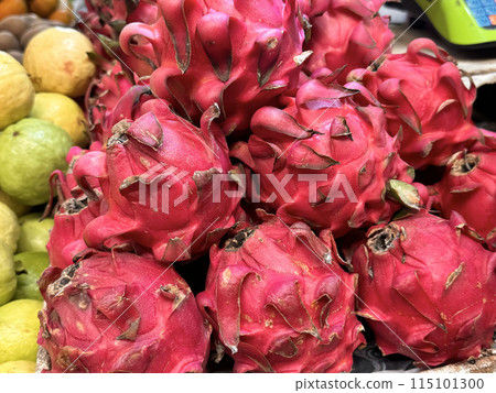 fresh produce of dragon fruits or Hylocereus undatus 0r buah naga in Indonesian at the local market, healthy fresh fruit for salad or juice or any cooking options fresh produce of dragon fruits or Hylocereus undatus 0r buah naga in Indonesian at the local market, healthy fresh fruit for salad or juice or any cooking options 115101300