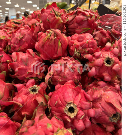 fresh produce of dragon fruits or Hylocereus undatus 0r buah naga in Indonesian at the local market, healthy fresh fruit for salad or juice or any cooking options fresh produce of dragon fruits or Hylocereus undatus 0r buah naga in Indonesian at the local market, healthy fresh fruit for salad or juice or any cooking options 115101302
