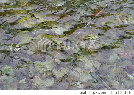 Clear river flow 115101306
