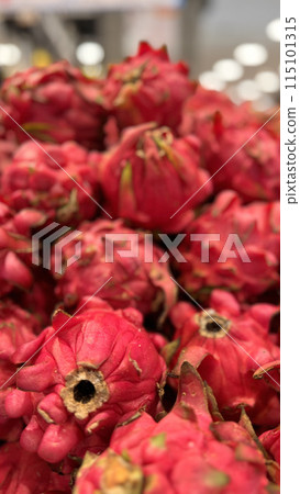 fresh produce of dragon fruits or Hylocereus undatus 0r buah naga in Indonesian at the local market, healthy fresh fruit for salad or juice or any cooking options fresh produce of dragon fruits or Hylocereus undatus 0r buah naga in Indonesian at the local market, healthy fresh fruit for salad or juice or any cooking options 115101315