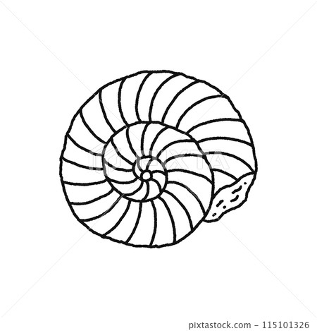 菊石/化石/畫線 菊石/化石/畫線 115101326