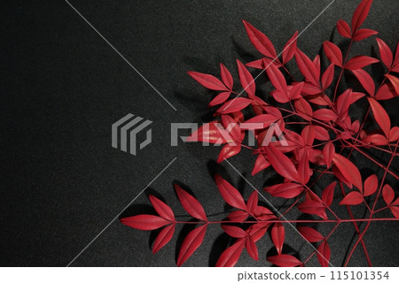 紅南天葉 20240207 115101354