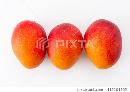 mango mango 115101505