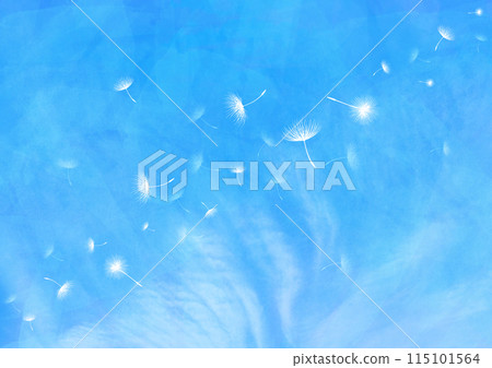 蒲公英的絨毛在藍天上翩翩起舞 115101564