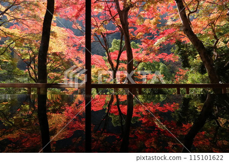 Autumn leaves at Yusaitei Autumn leaves at Yusaitei 115101622