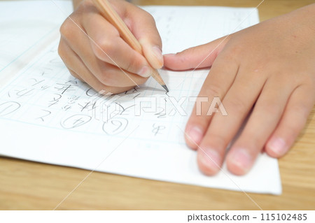 The hands of a low-grade elementary school student studying The hands of a low-grade elementary school student studying 115102485