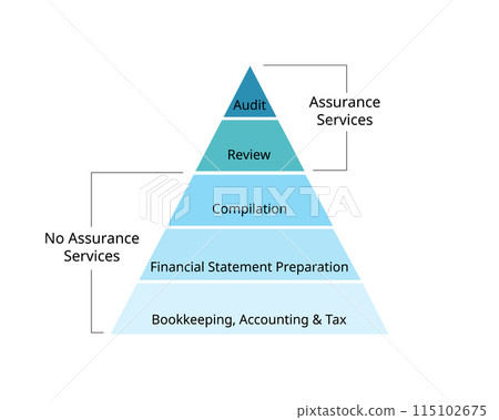 level of assurance in auditing for audit and review service 115102675