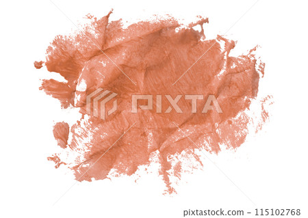 Orange brush isolated on white background. golden apricot color 115102768