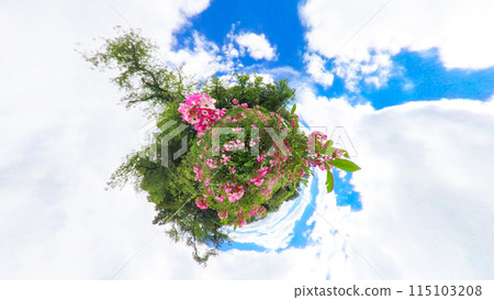 360 degree photo: The mysterious world of Little Planet: Roses and blue sky 115103208